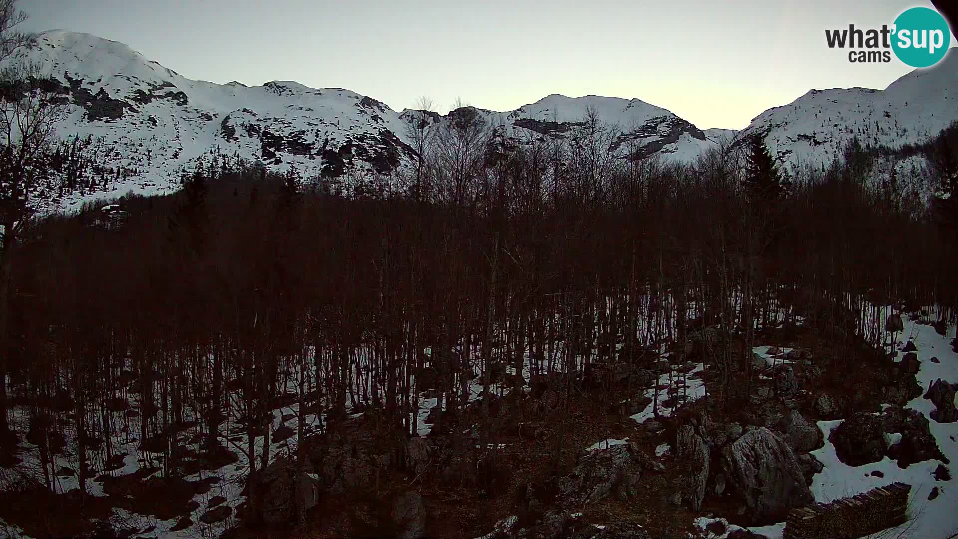 PLANINA RAZOR Live Cam (1315) | vista su Vogel e Globoko