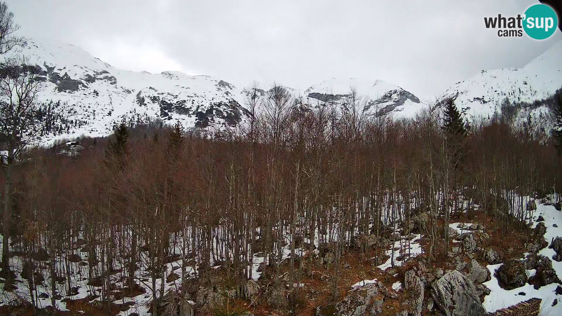 PLANINA RAZOR web kamera (1315) | pogled na Vogel i Globoko