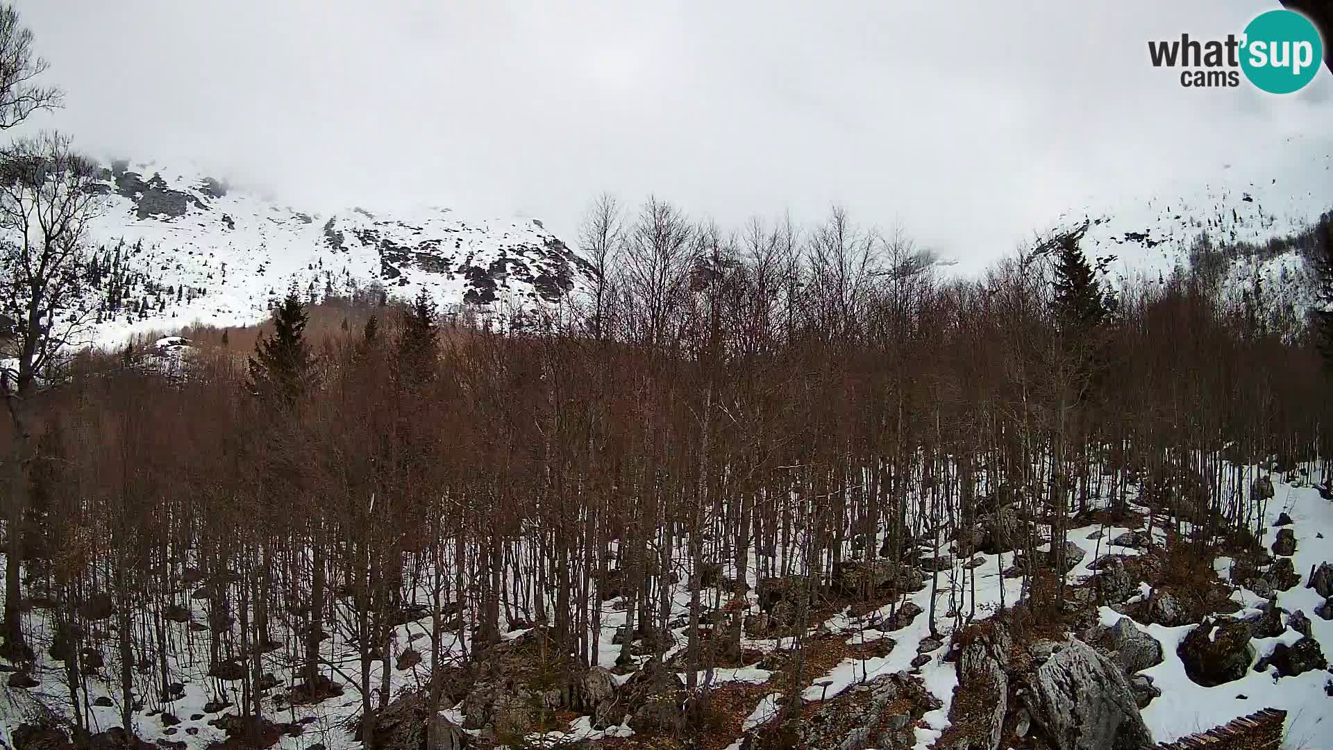 Webcam PLANINA RAZOR (1315) | Blick auf Vogel und Globoko