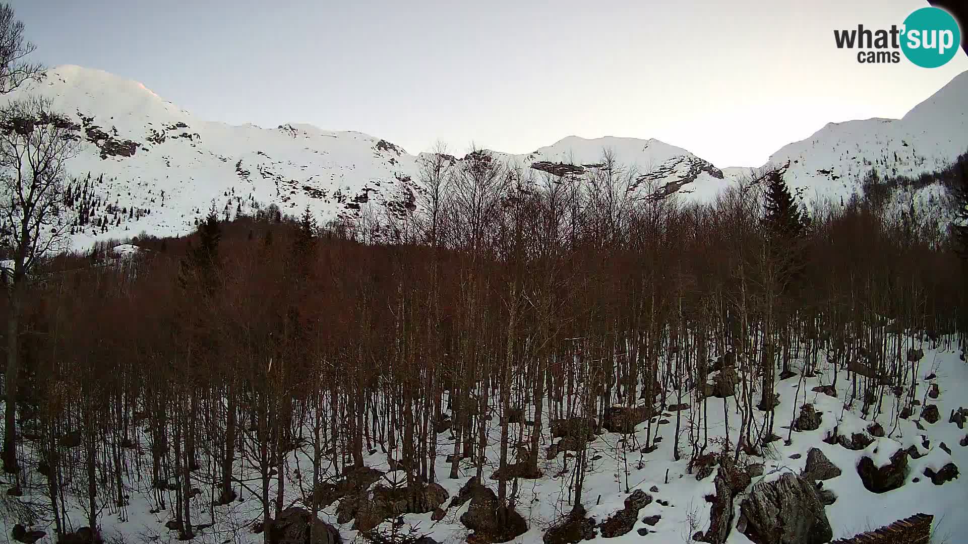 PLANINA RAZOR kamera (1315) | pogled na Vogel in Globoko