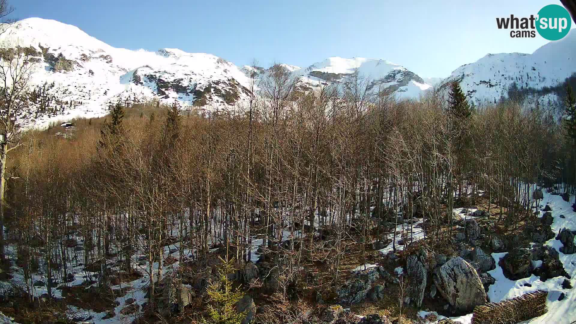 PLANINA RAZOR web kamera (1315) | pogled na Vogel i Globoko