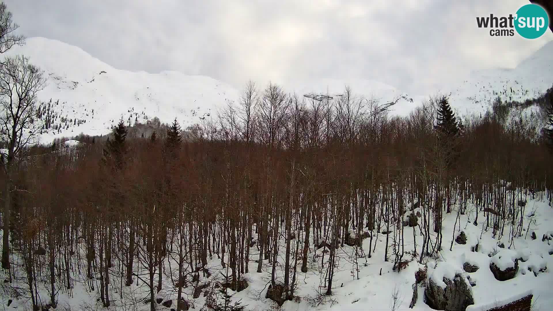 Cámara web PLANINA RAZOR (1315) | vista a Vogel y Globoko