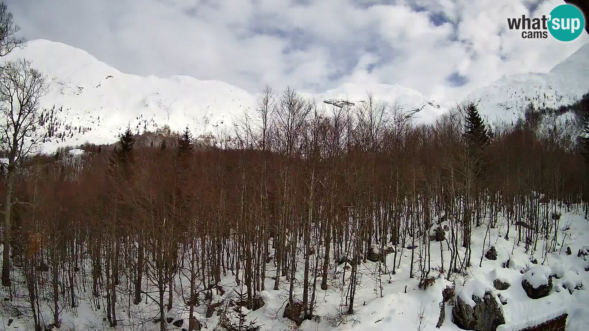 Webcam PLANINA RAZOR (1315) | Blick auf Vogel und Globoko