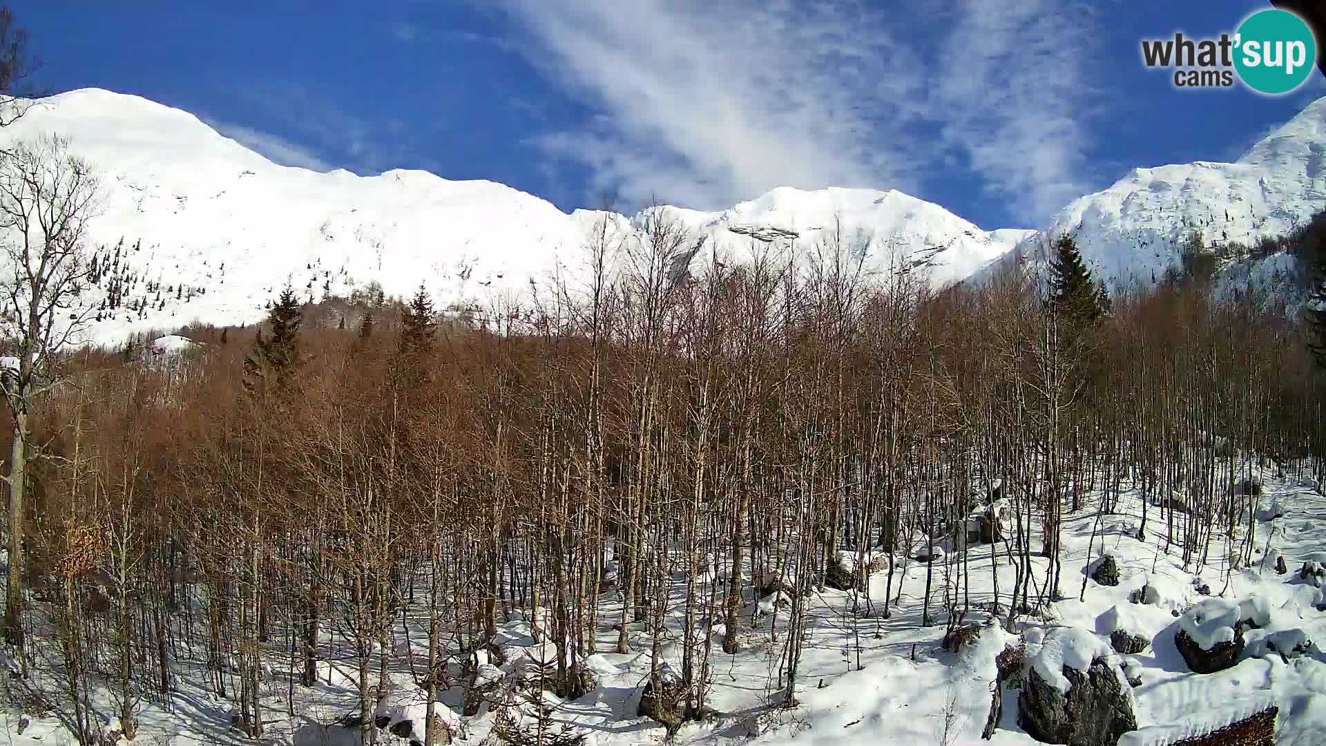 Webcam PLANINA RAZOR (1315) | Blick auf Vogel und Globoko