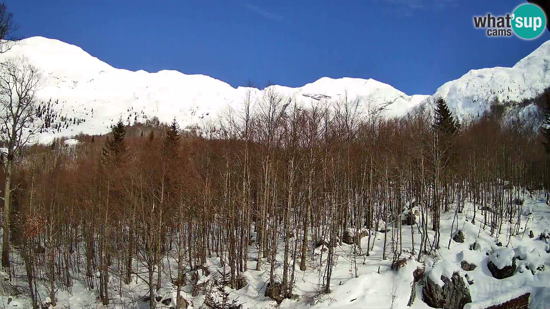 PLANINA RAZOR kamera (1315) | pogled na Vogel in Globoko