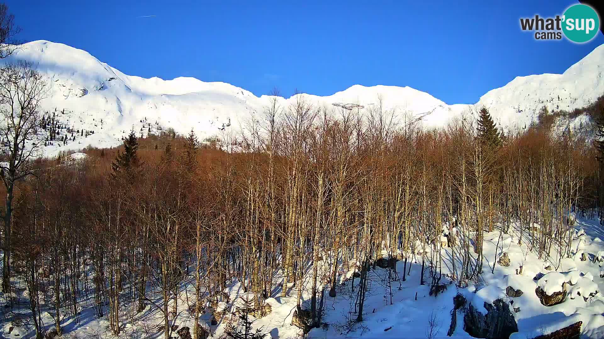 PLANINA RAZOR kamera (1315) | pogled na Vogel in Globoko