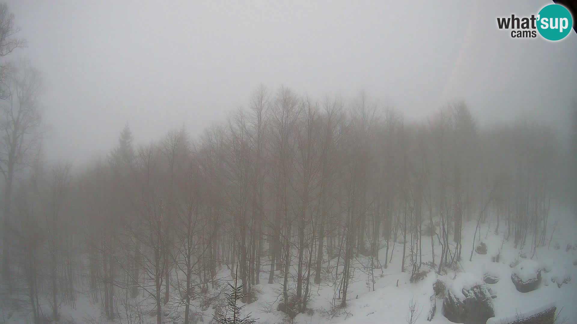 PLANINA RAZOR web kamera (1315) | pogled na Vogel i Globoko