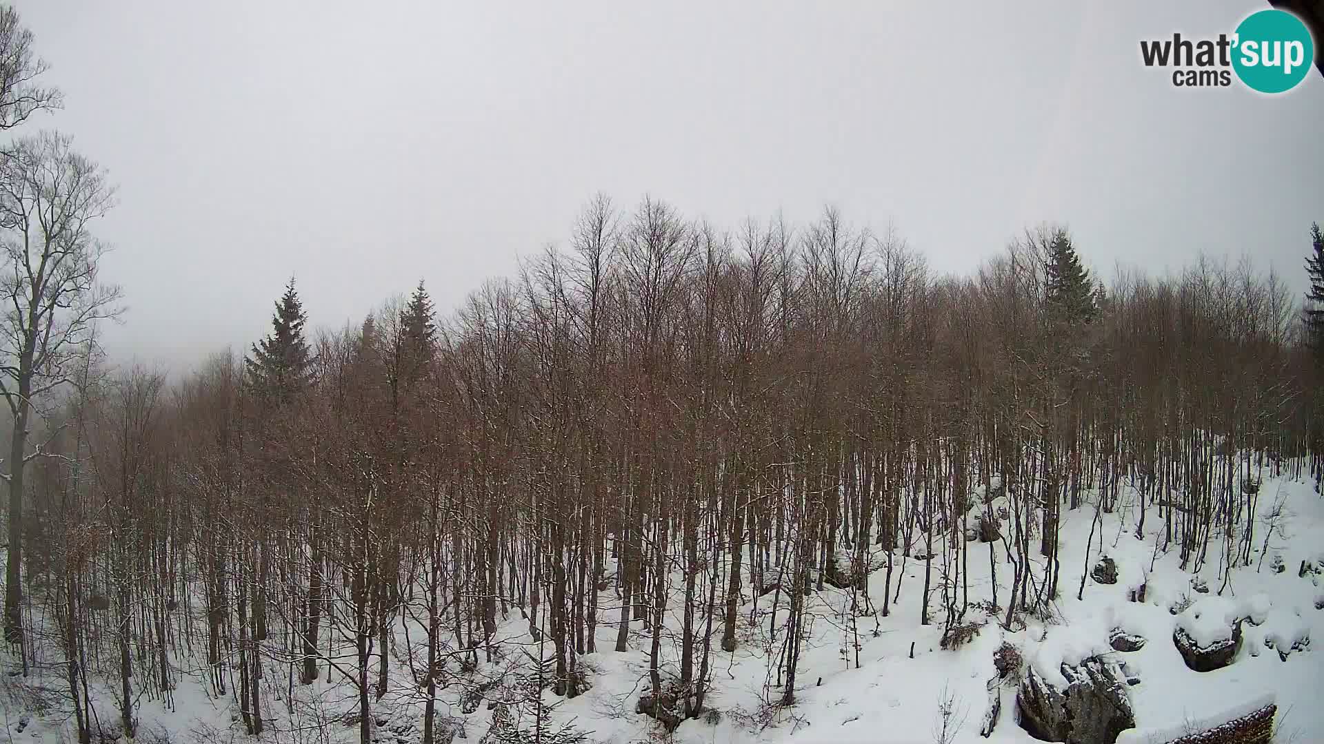 Livecam PLANINA RAZOR (1315) | vue sur Vogel et Globoko
