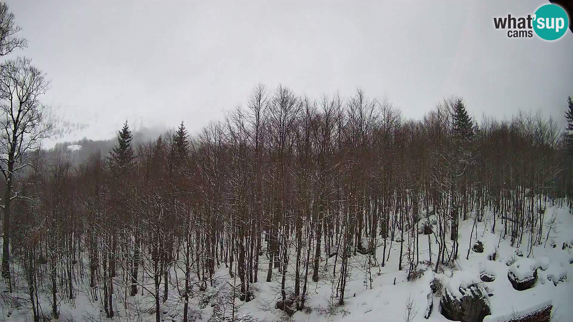 Webcam PLANINA RAZOR (1315) | Blick auf Vogel und Globoko