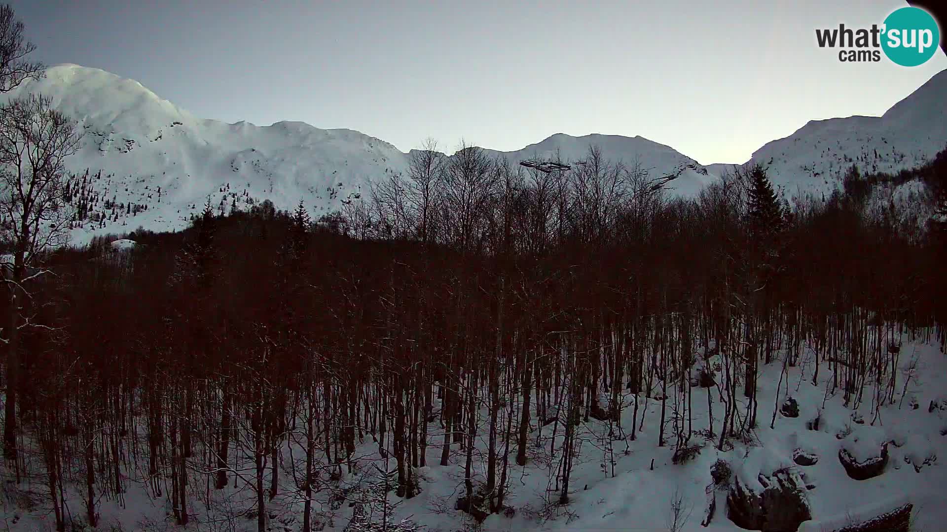 PLANINA RAZOR kamera (1315) | pogled na Vogel in Globoko
