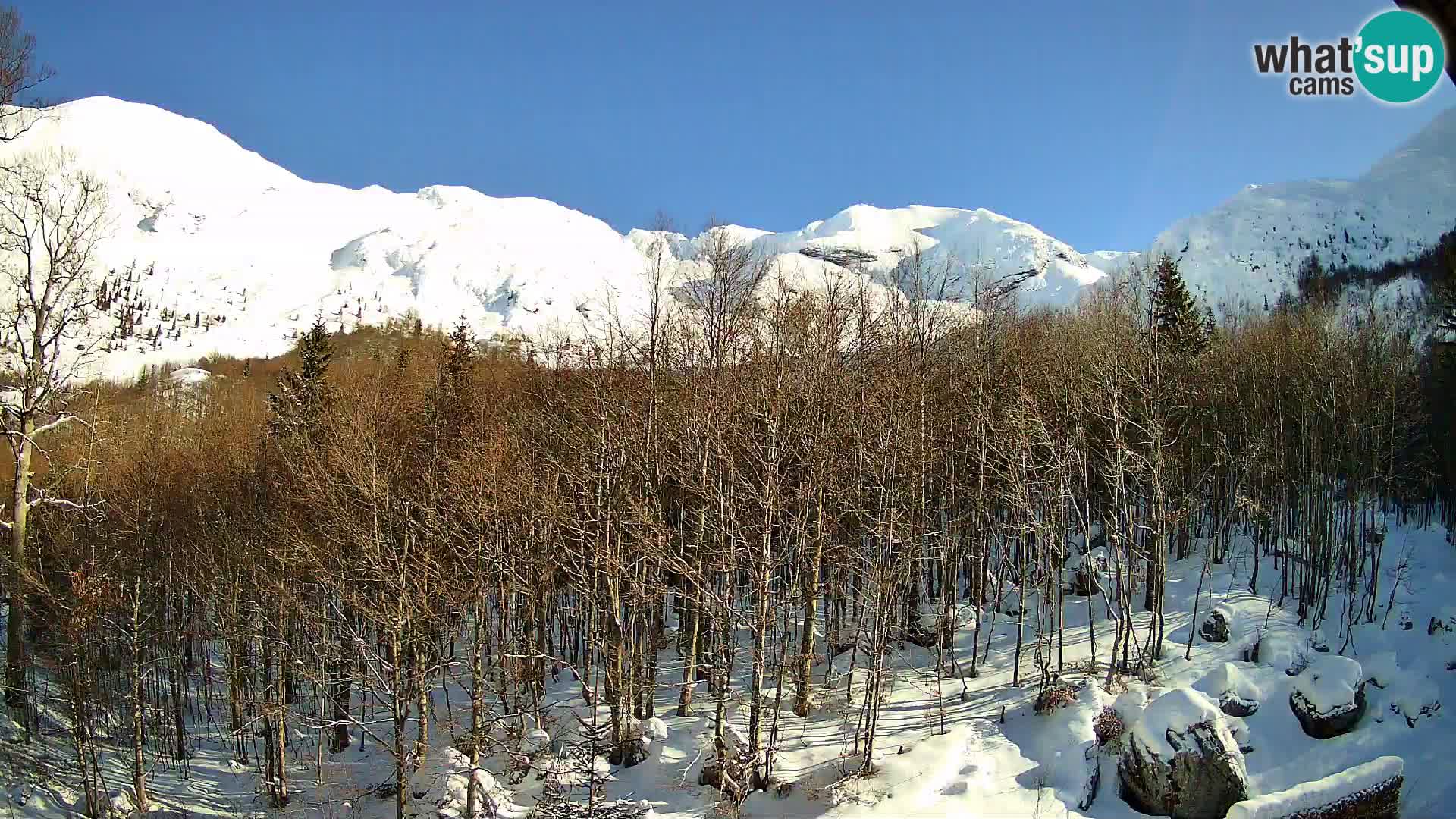 PLANINA RAZOR Live Cam (1315) | vista su Vogel e Globoko