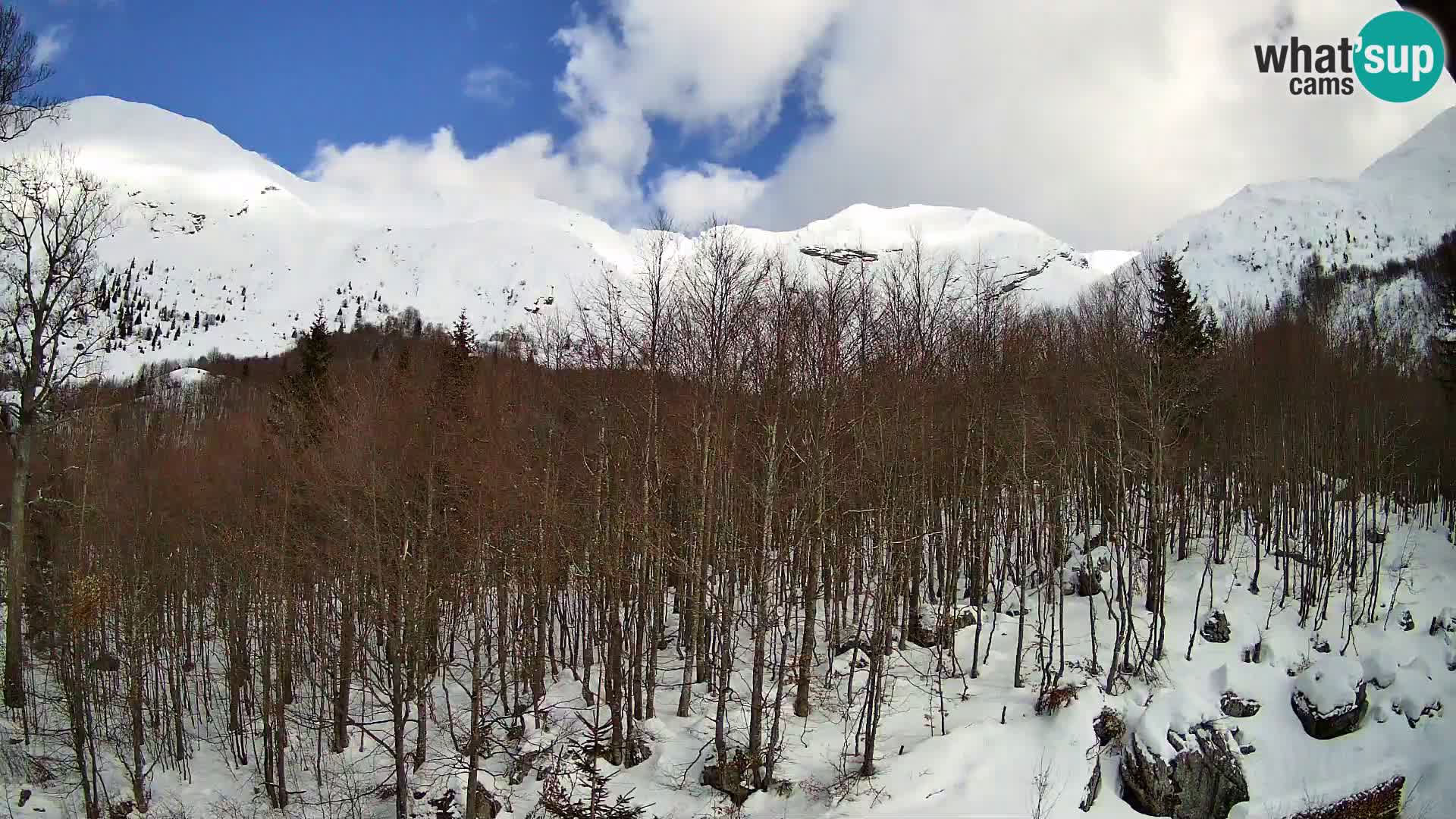 PLANINA RAZOR webcam (1315) | view to Vogel and Globoko