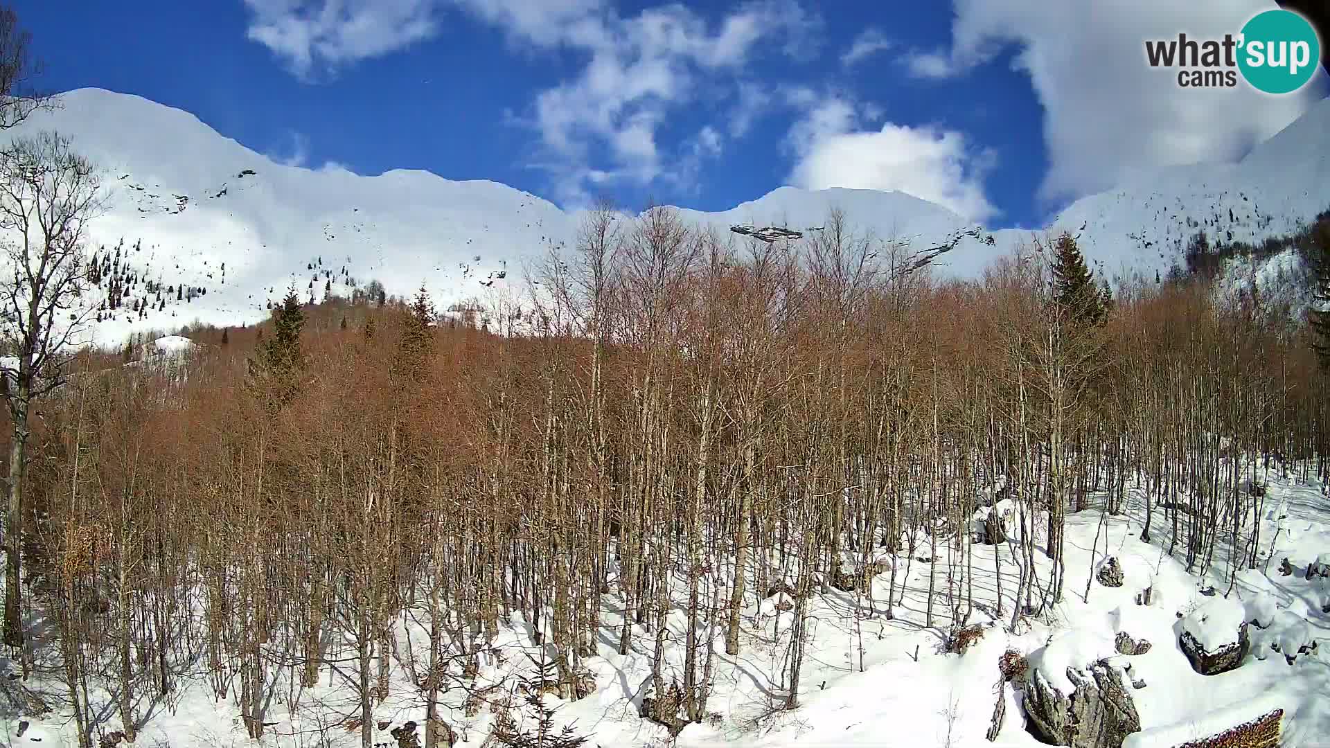 PLANINA RAZOR Live Cam (1315) | vista su Vogel e Globoko