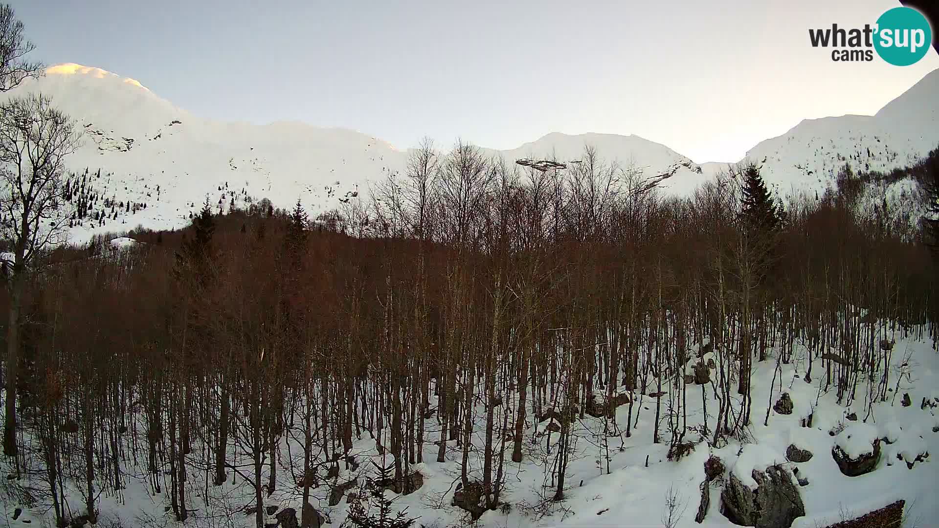 Livecam PLANINA RAZOR (1315) | vue sur Vogel et Globoko