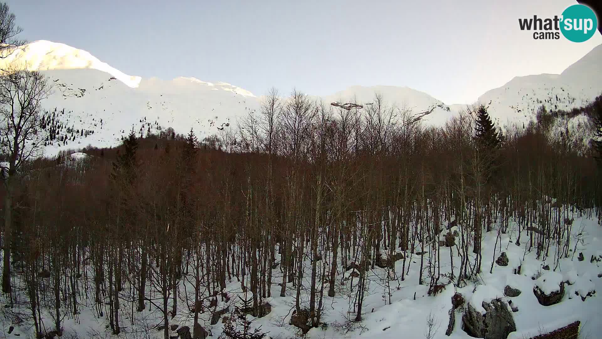 PLANINA RAZOR kamera (1315) | pogled na Vogel in Globoko