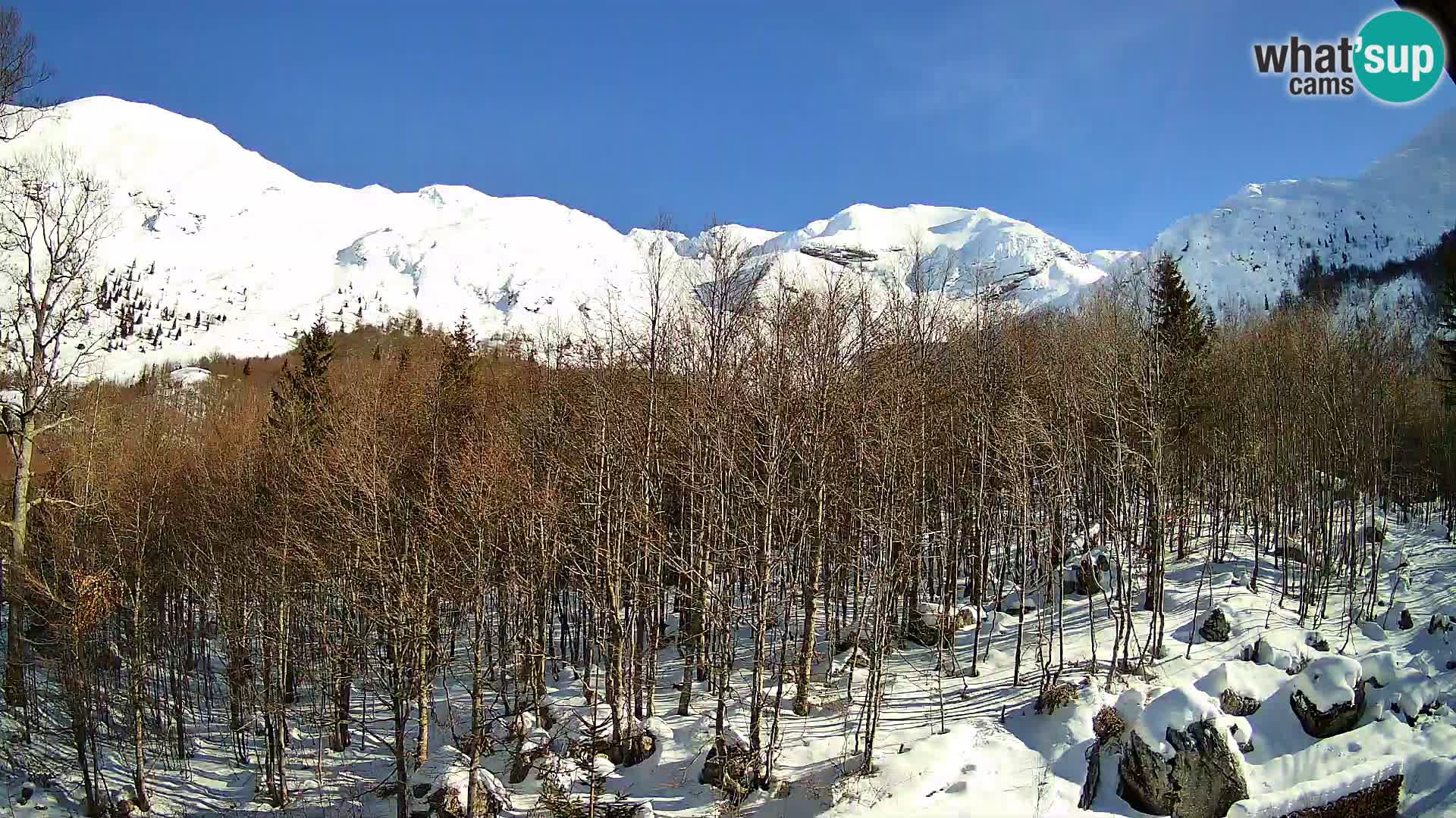 PLANINA RAZOR webcam (1315) | view to Vogel and Globoko