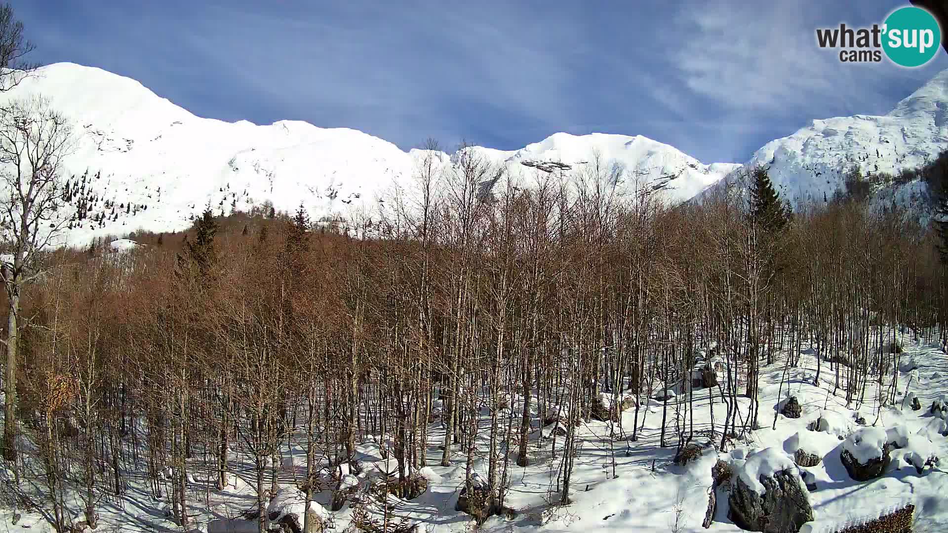 Cámara web PLANINA RAZOR (1315) | vista a Vogel y Globoko