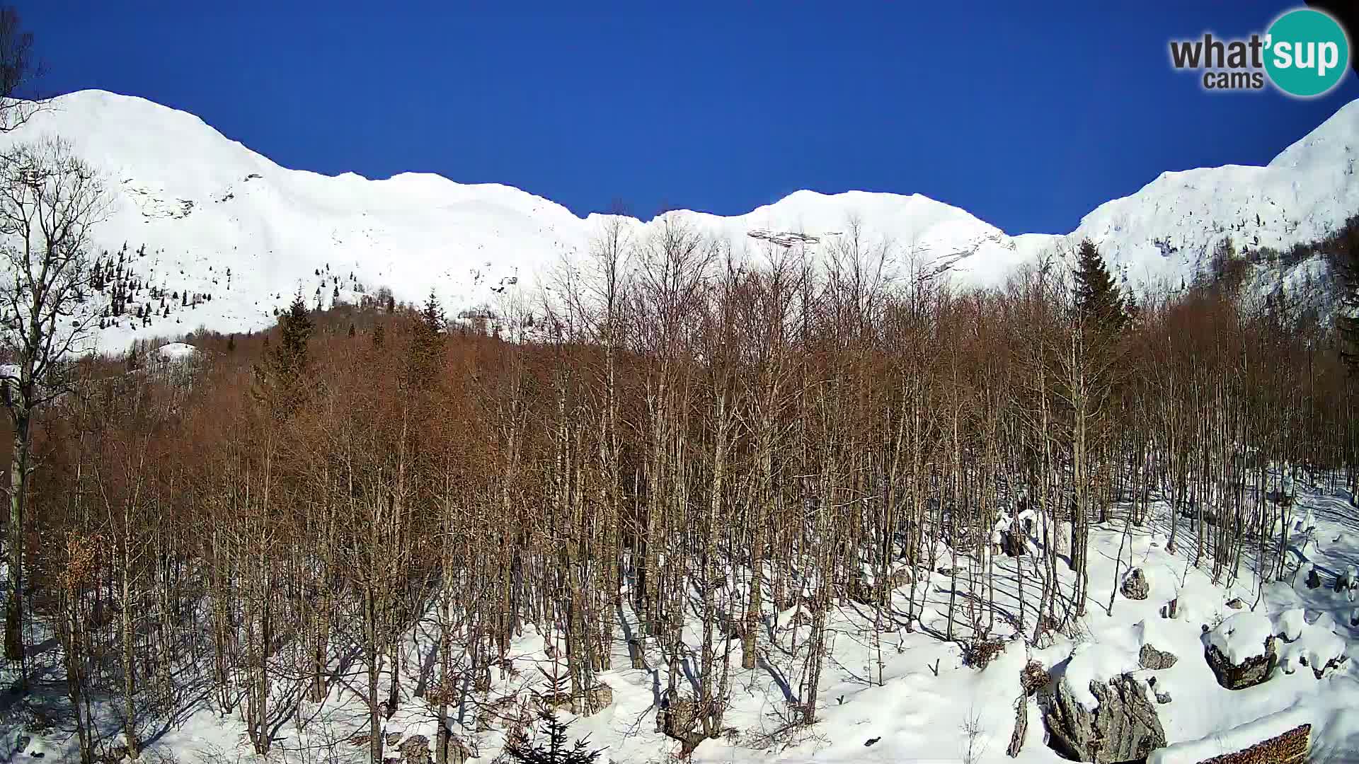 PLANINA RAZOR web kamera (1315) | pogled na Vogel i Globoko
