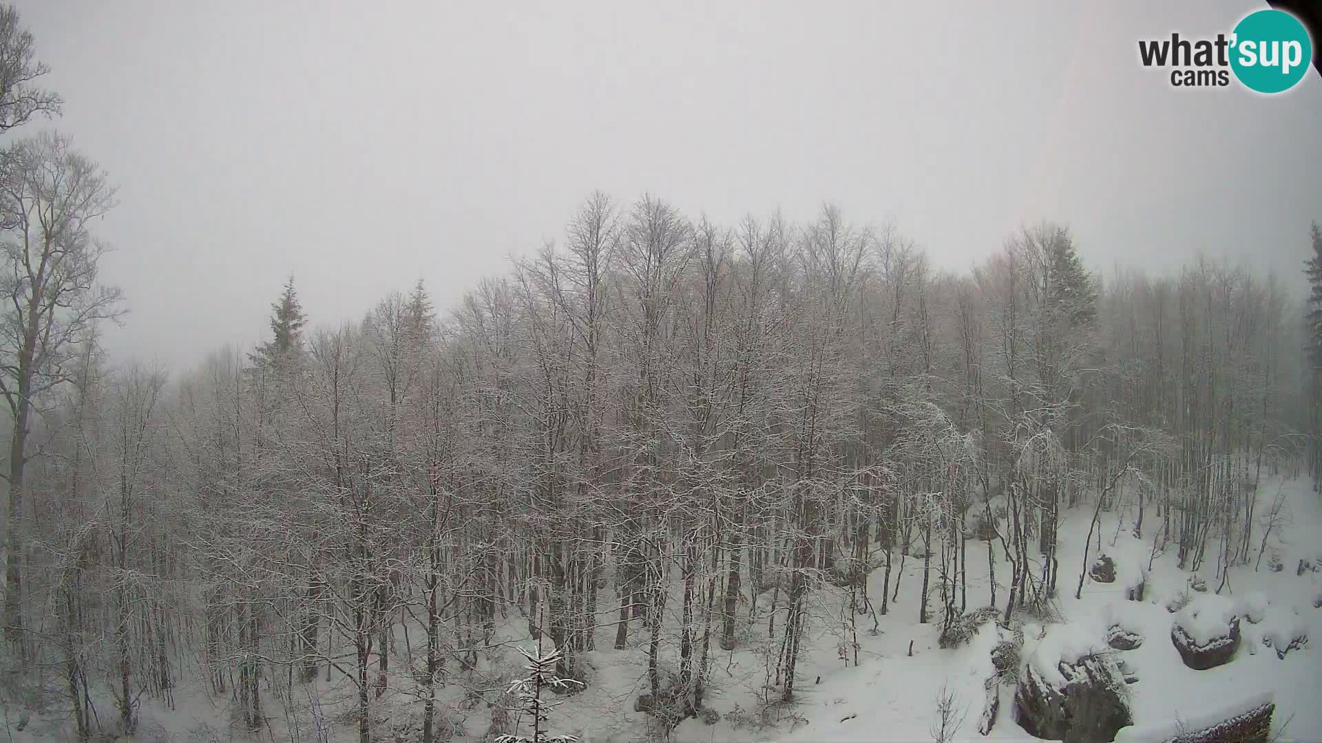 PLANINA RAZOR web kamera (1315) | pogled na Vogel i Globoko