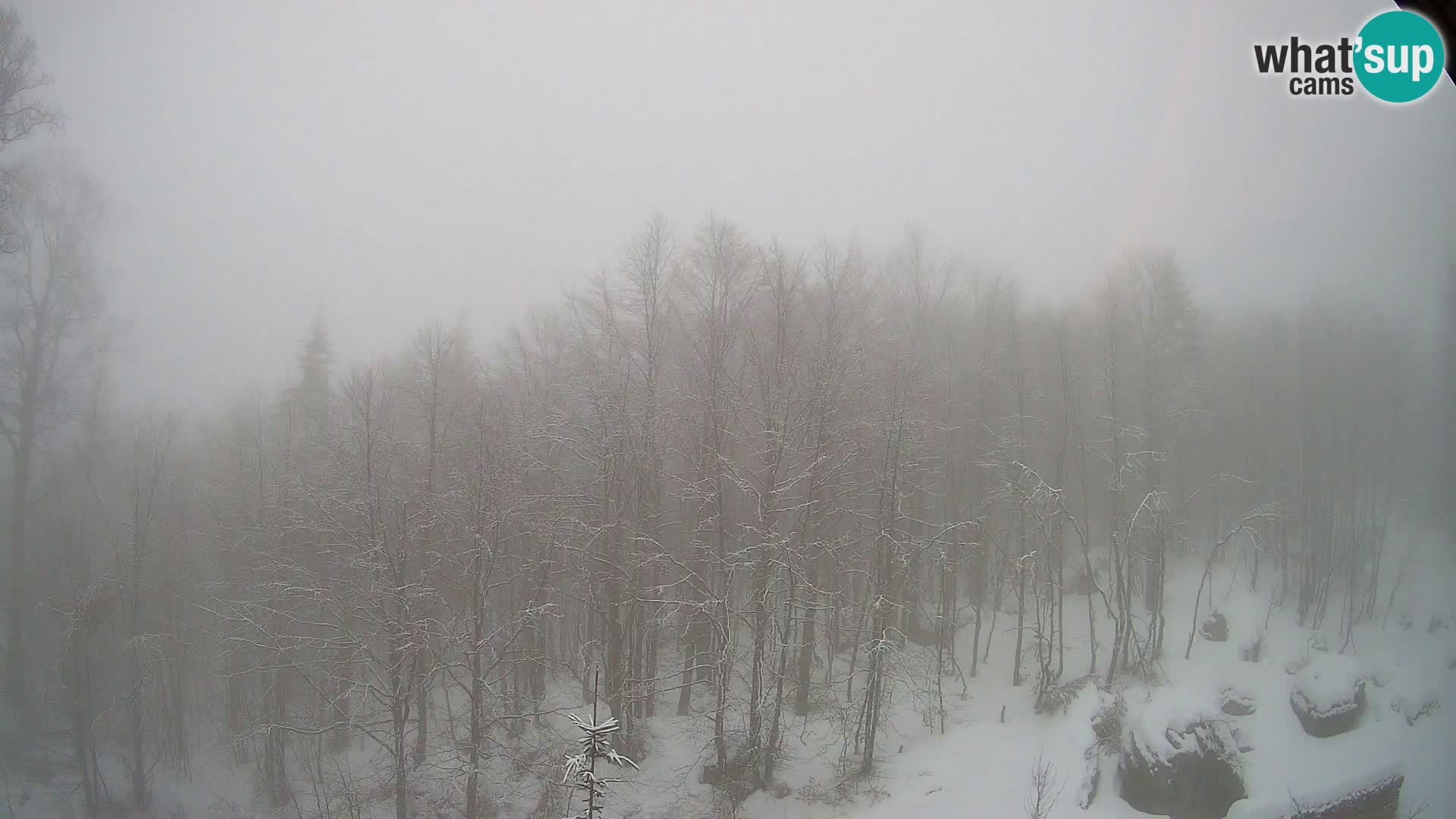 PLANINA RAZOR web kamera (1315) | pogled na Vogel i Globoko