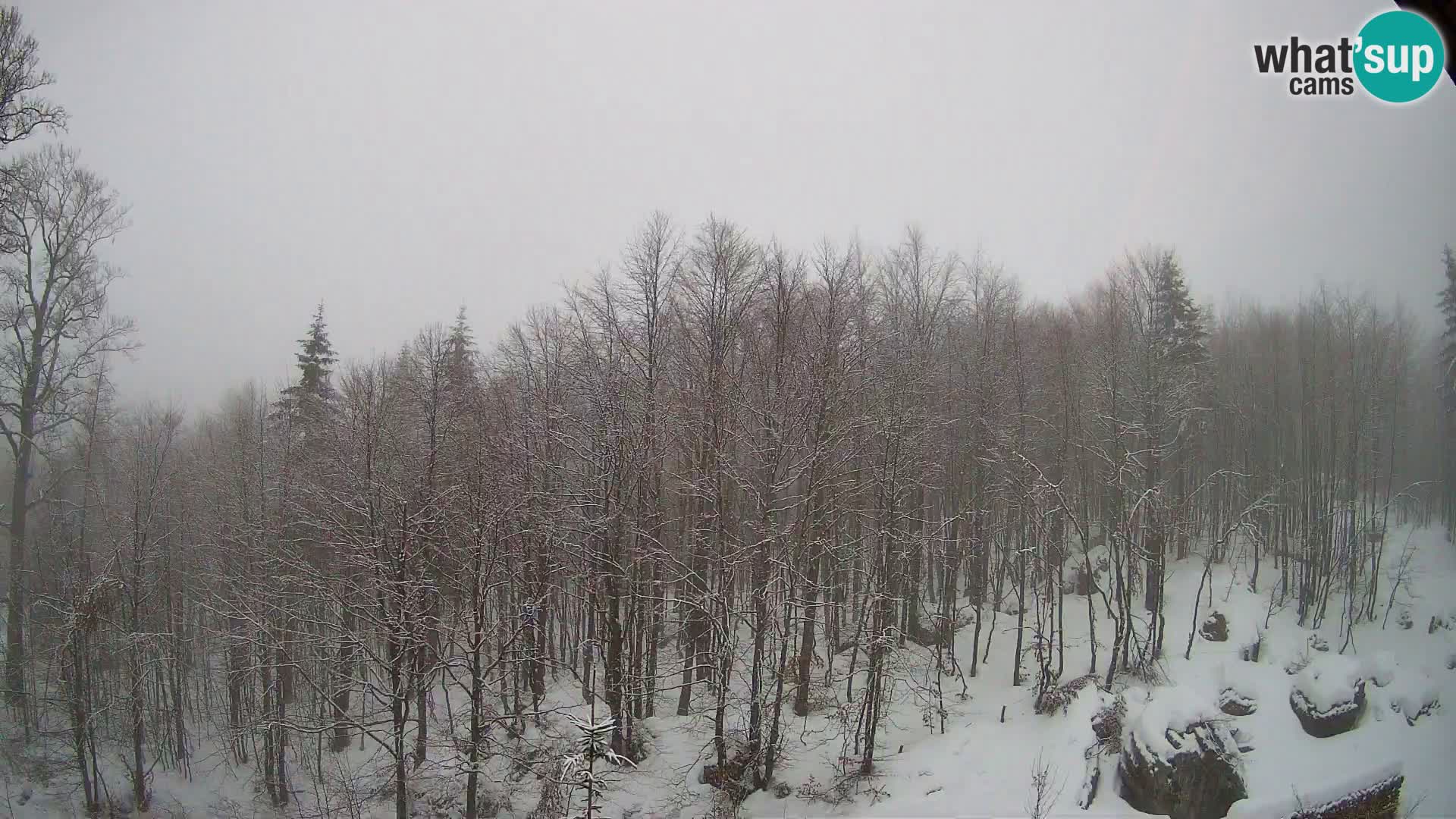 PLANINA RAZOR web kamera (1315) | pogled na Vogel i Globoko