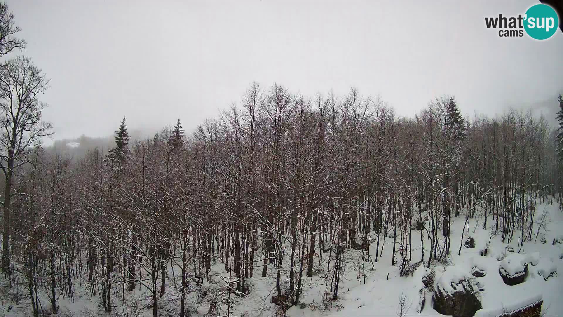 PLANINA RAZOR web kamera (1315) | pogled na Vogel i Globoko