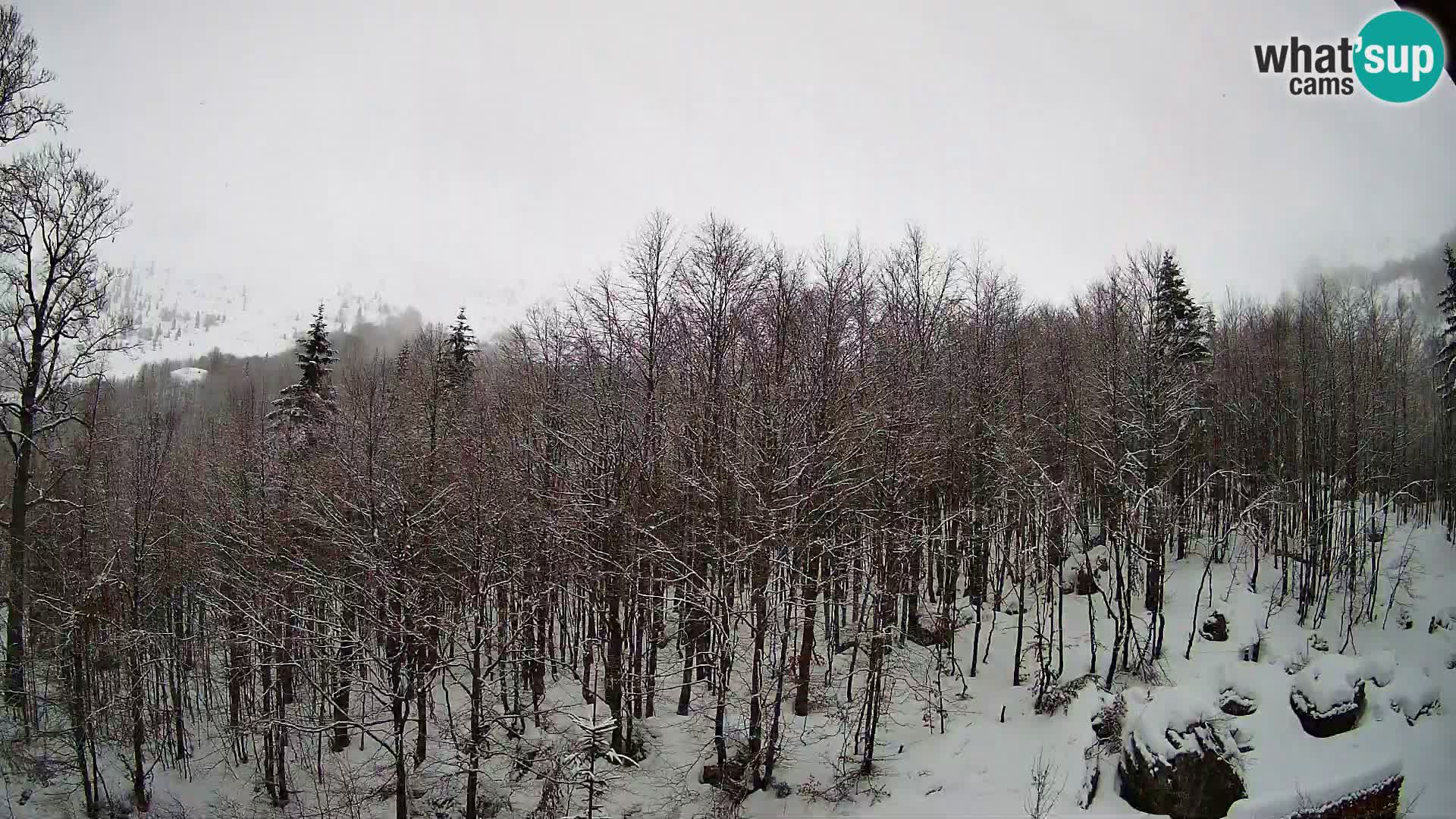 Cámara web PLANINA RAZOR (1315) | vista a Vogel y Globoko