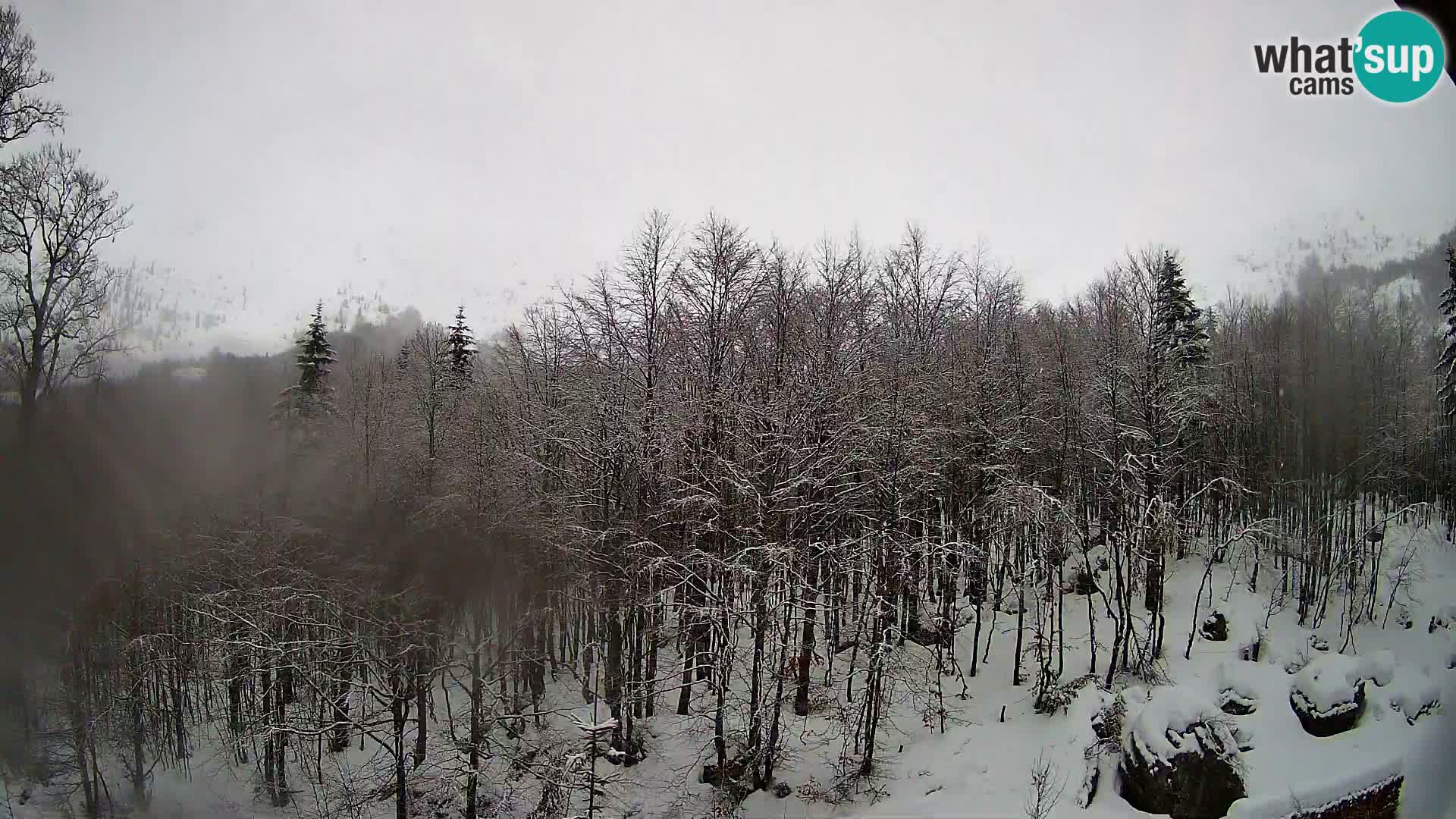PLANINA RAZOR web kamera (1315) | pogled na Vogel i Globoko