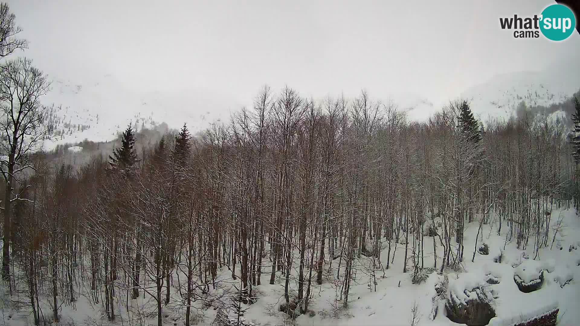 PLANINA RAZOR webcam (1315) | view to Vogel and Globoko