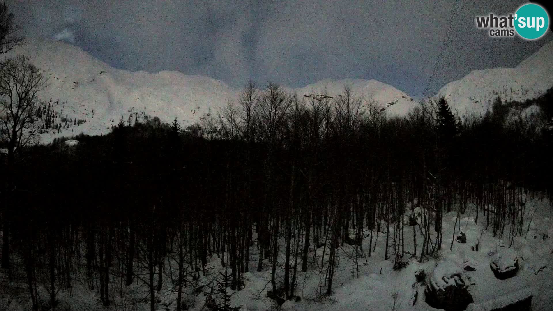 Livecam PLANINA RAZOR (1315) | vue sur Vogel et Globoko