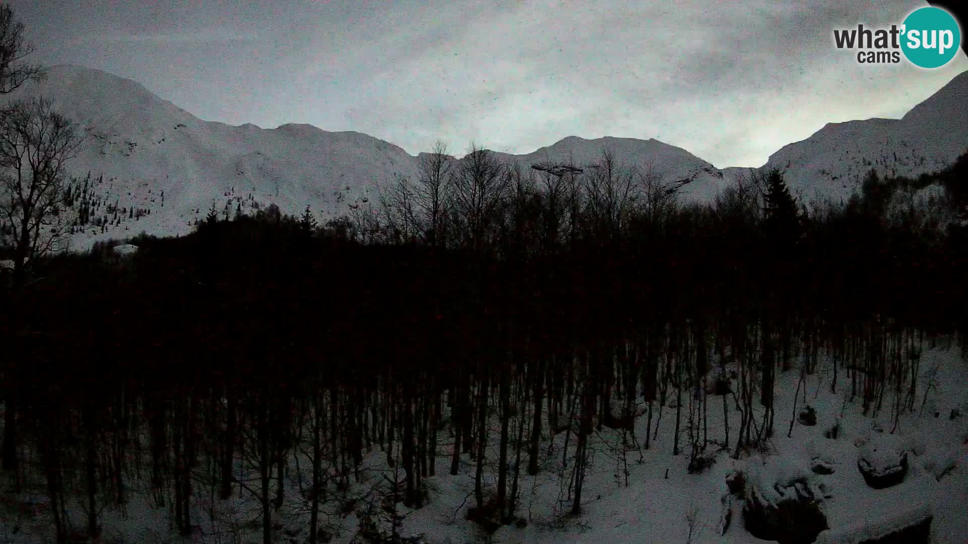 PLANINA RAZOR web kamera (1315) | pogled na Vogel i Globoko