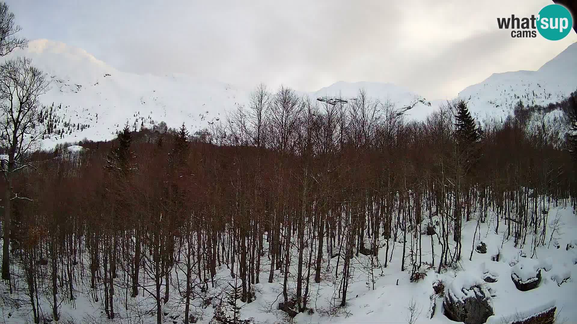 PLANINA RAZOR kamera (1315) | pogled na Vogel in Globoko
