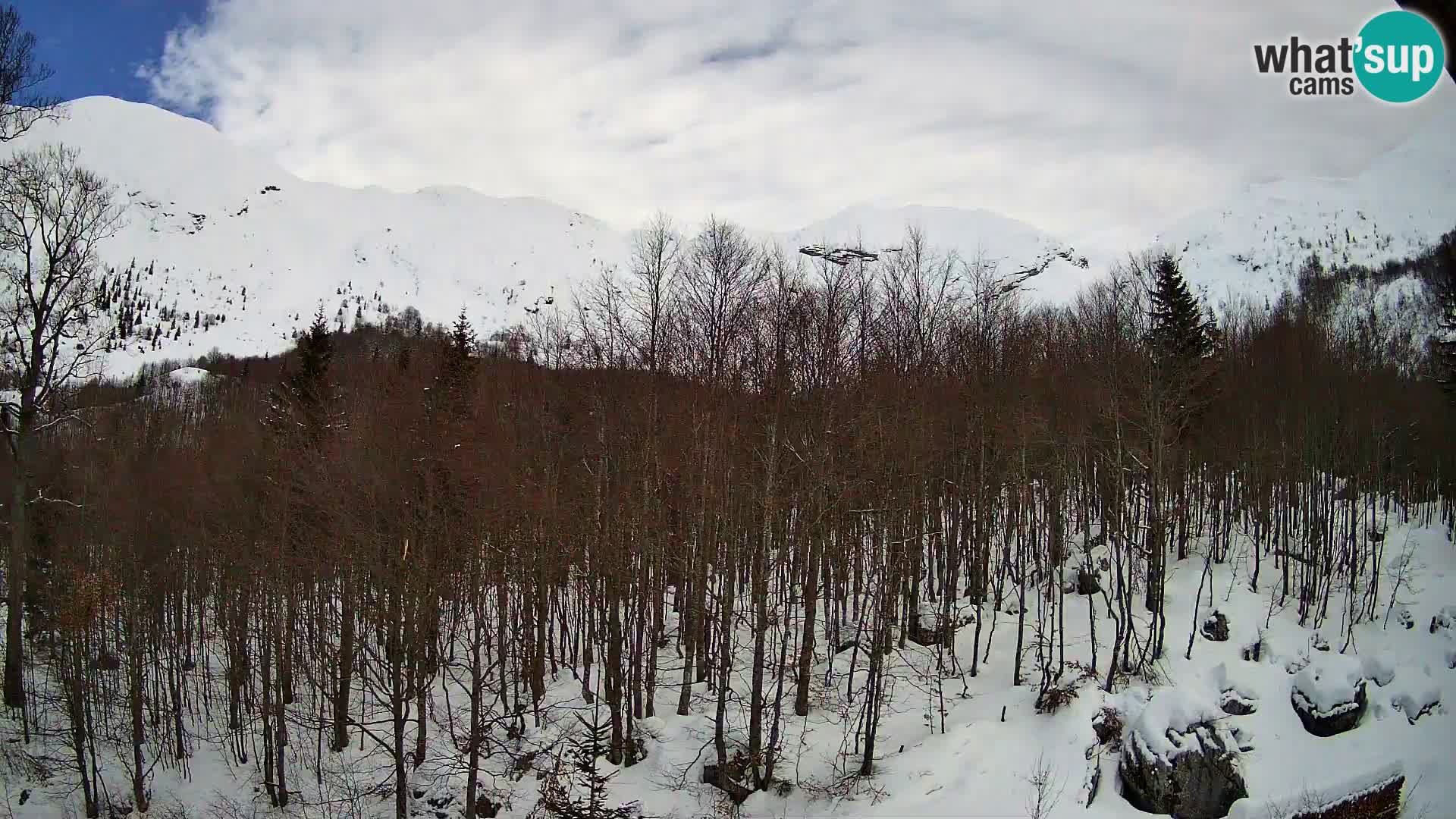 Livecam PLANINA RAZOR (1315) | vue sur Vogel et Globoko