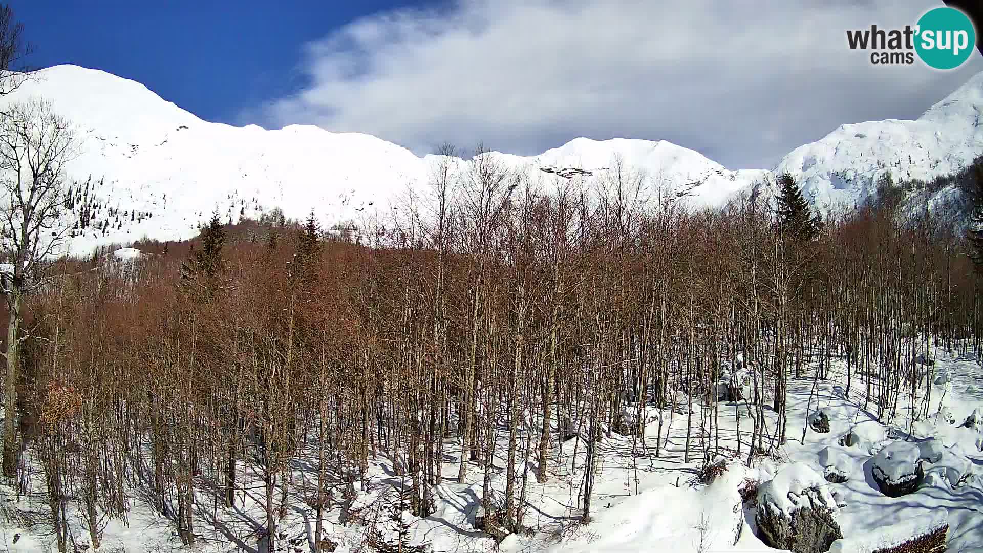 Webcam PLANINA RAZOR (1315) | Blick auf Vogel und Globoko