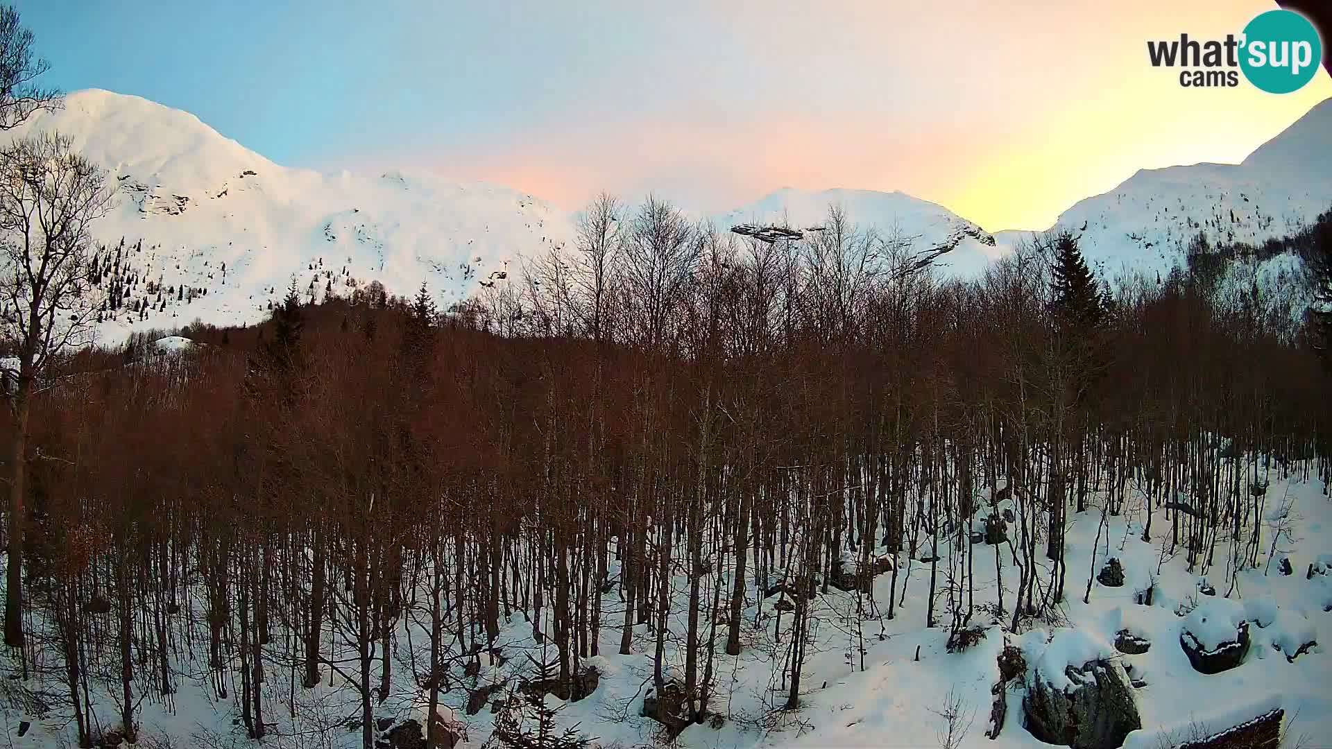 Livecam PLANINA RAZOR (1315) | vue sur Vogel et Globoko