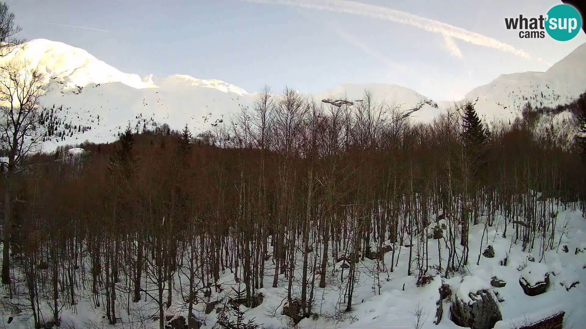 Webcam PLANINA RAZOR (1315) | Blick auf Vogel und Globoko