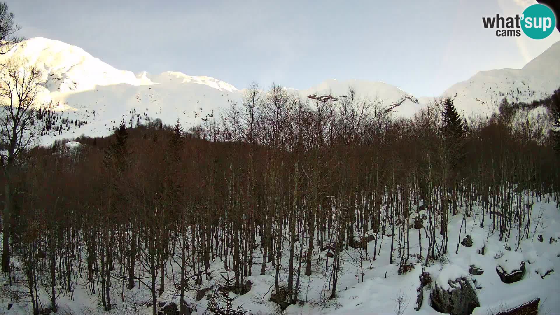 PLANINA RAZOR web kamera (1315) | pogled na Vogel i Globoko