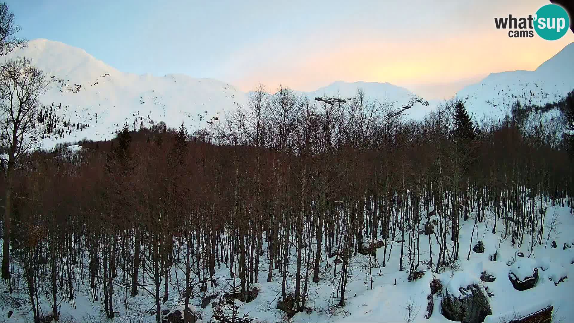 PLANINA RAZOR kamera (1315) | pogled na Vogel in Globoko