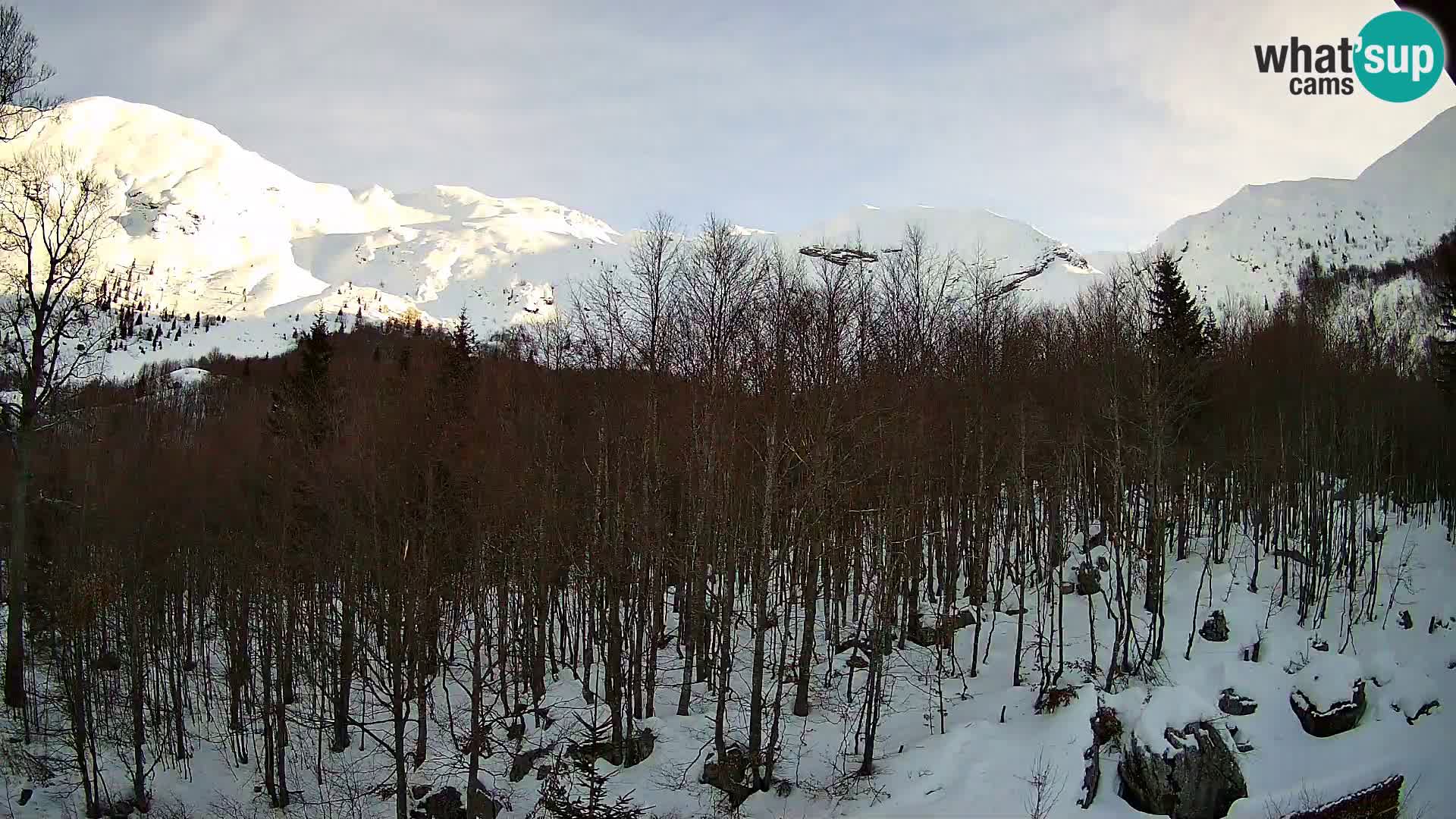 Livecam PLANINA RAZOR (1315) | vue sur Vogel et Globoko