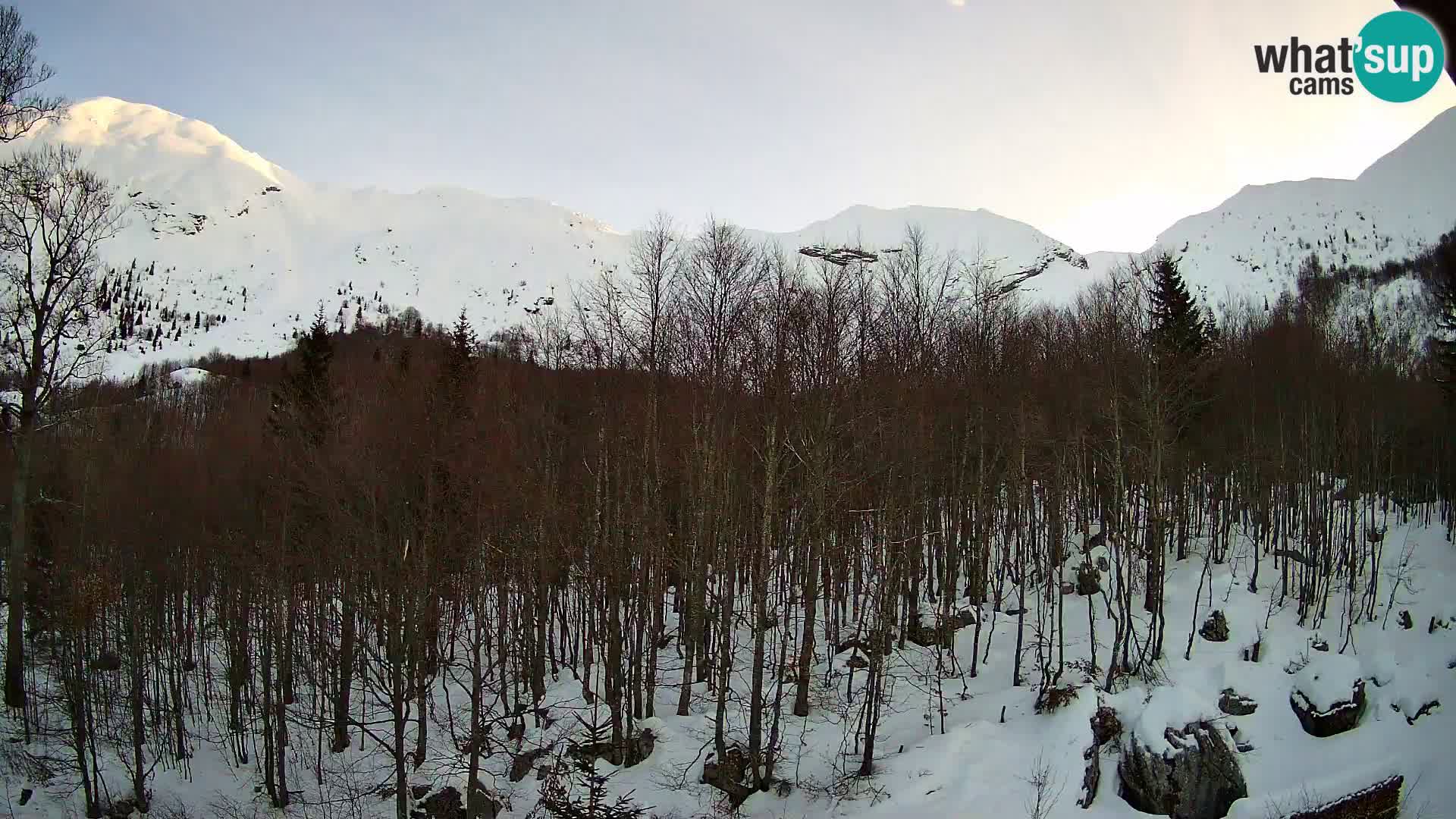 PLANINA RAZOR web kamera (1315) | pogled na Vogel i Globoko