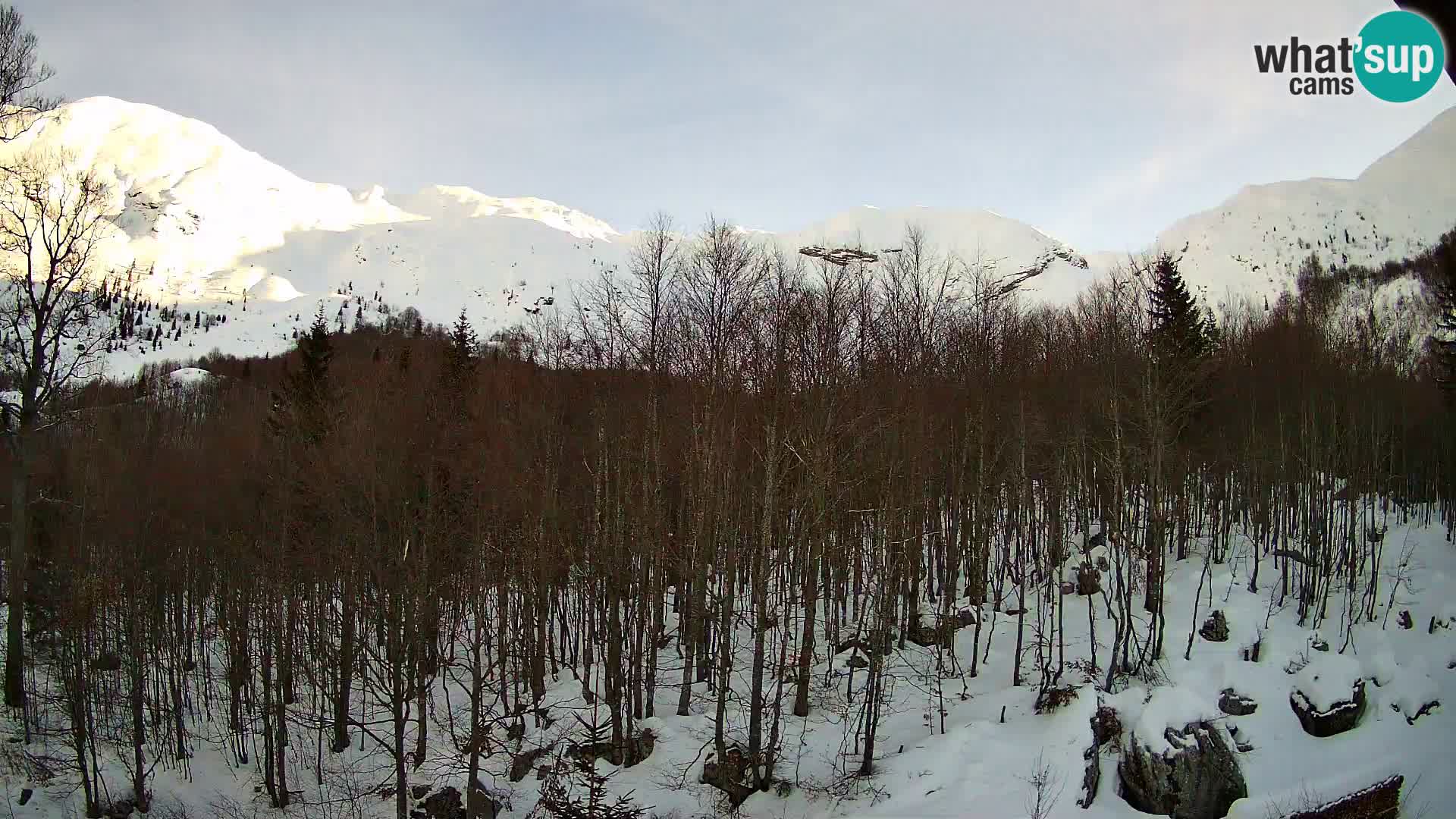 Livecam PLANINA RAZOR (1315) | vue sur Vogel et Globoko