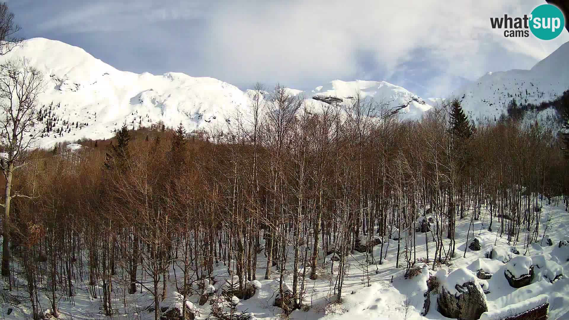 Cámara web PLANINA RAZOR (1315) | vista a Vogel y Globoko