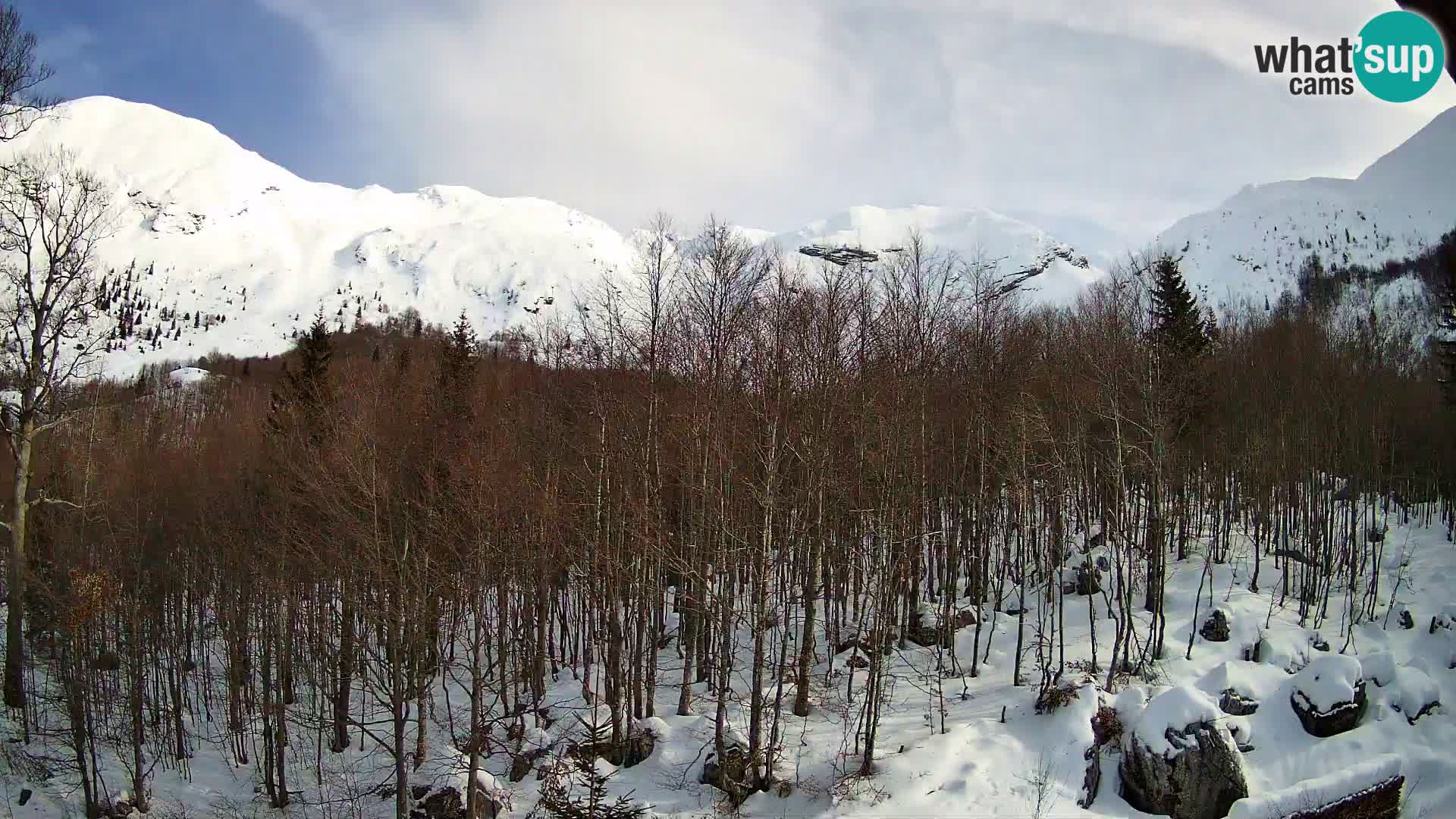 Webcam PLANINA RAZOR (1315) | Blick auf Vogel und Globoko