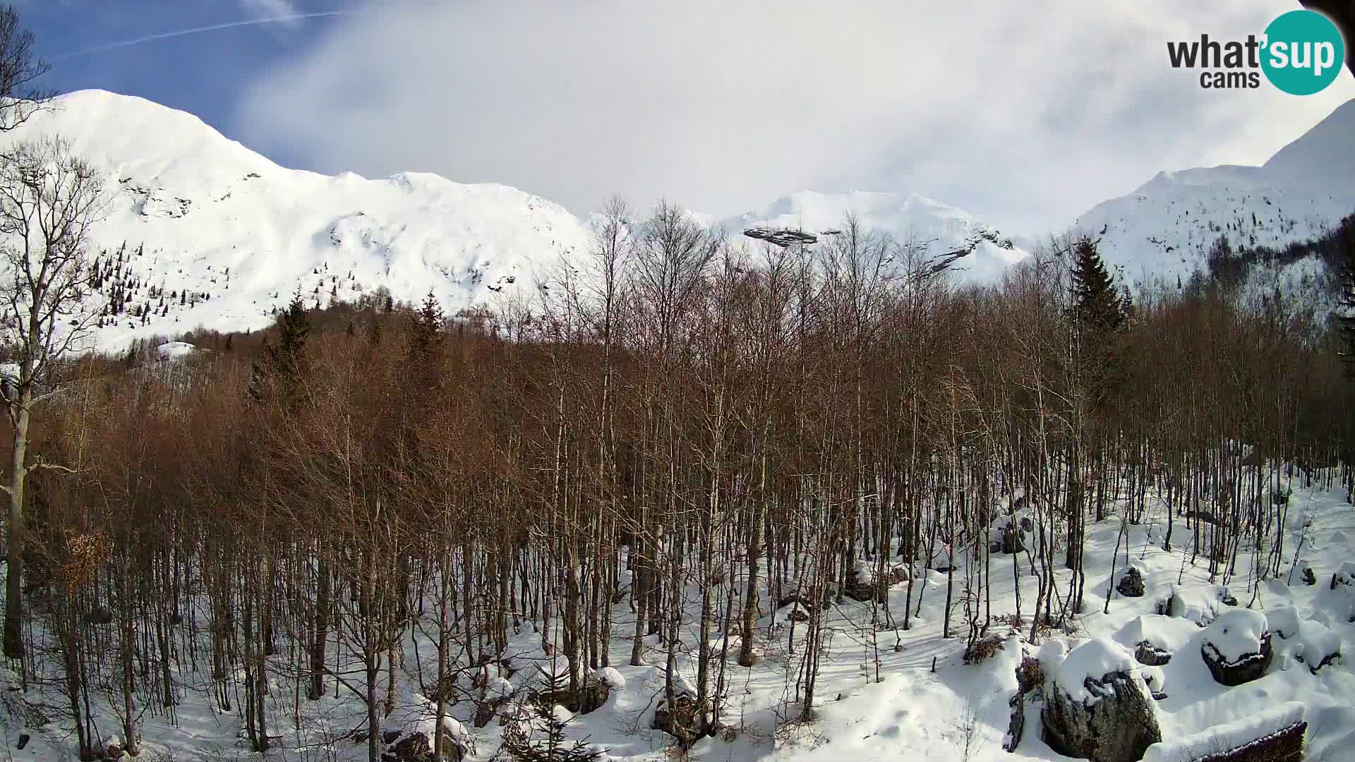 Webcam PLANINA RAZOR (1315) | Blick auf Vogel und Globoko