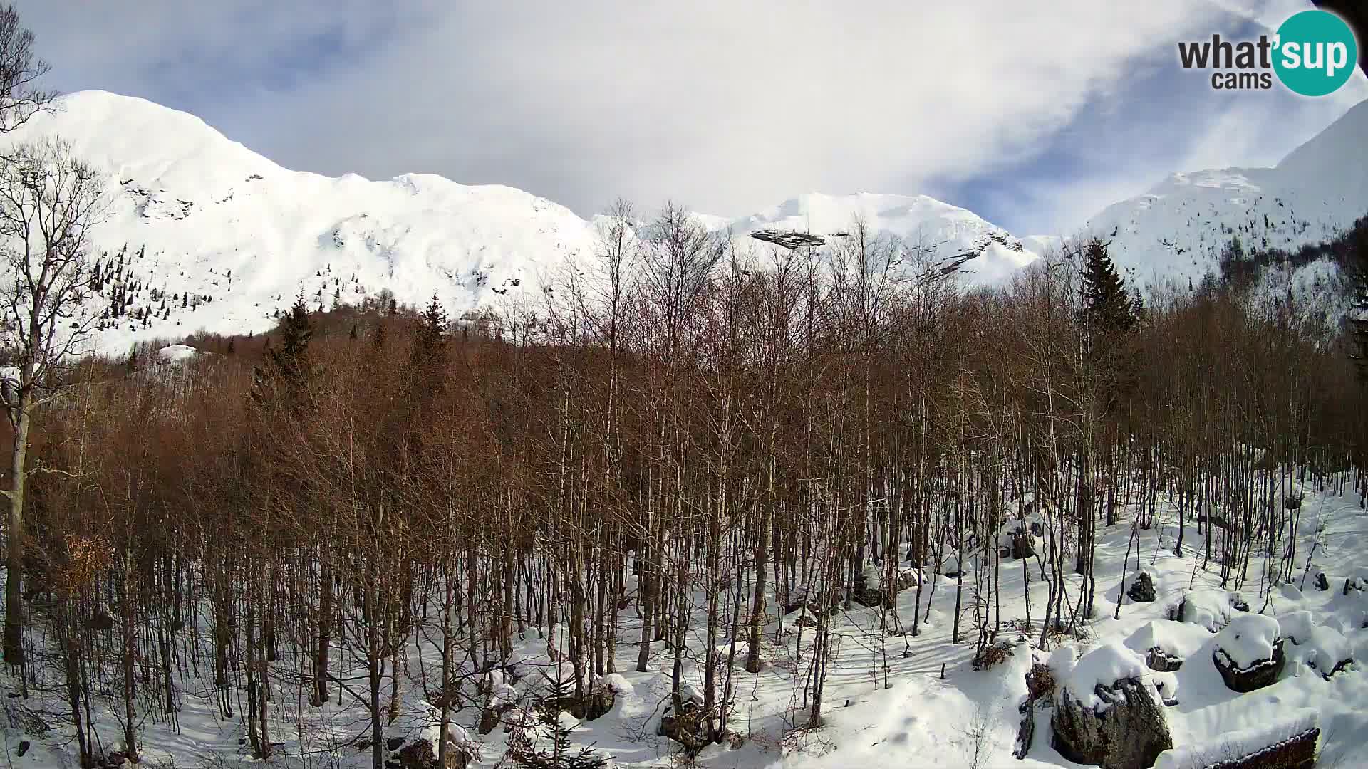 PLANINA RAZOR web kamera (1315) | pogled na Vogel i Globoko