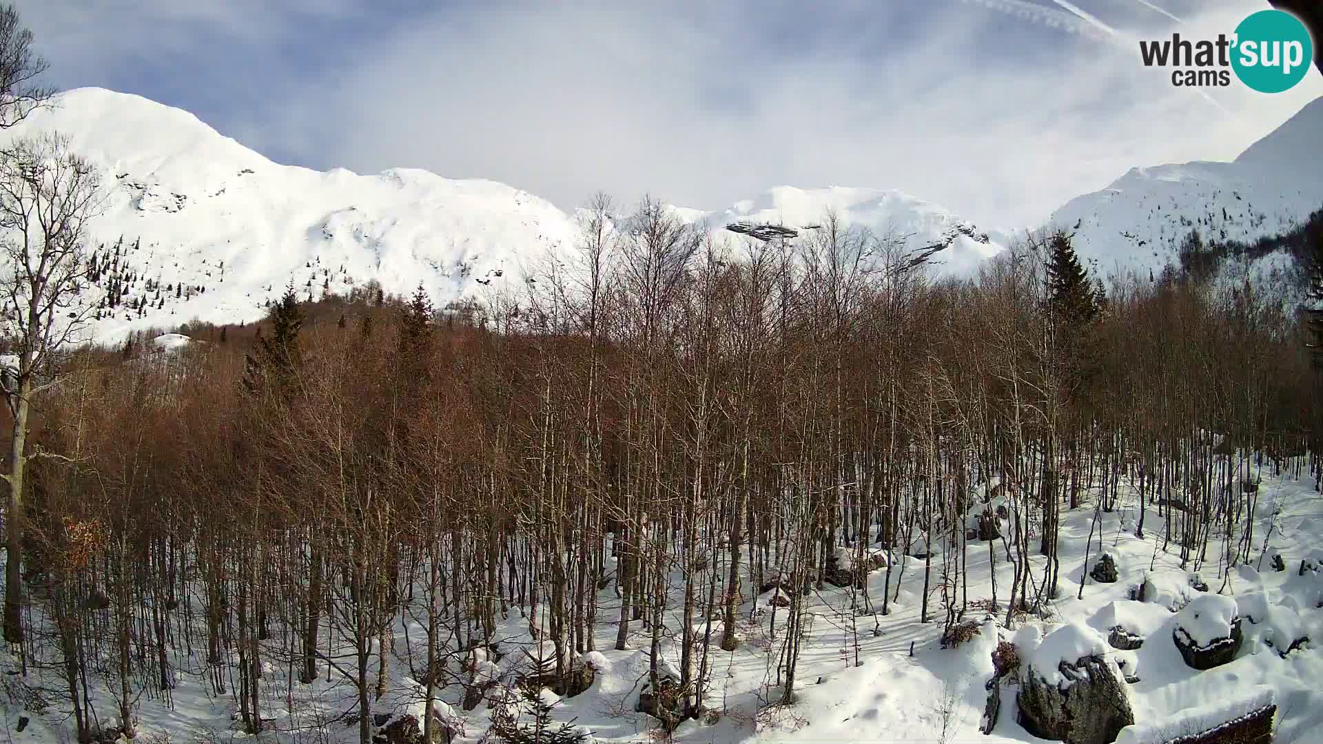 PLANINA RAZOR web kamera (1315) | pogled na Vogel i Globoko