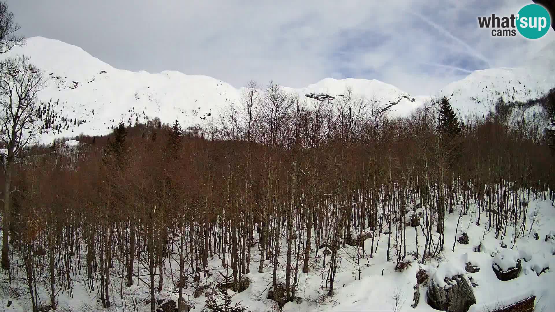PLANINA RAZOR webcam (1315) | view to Vogel and Globoko