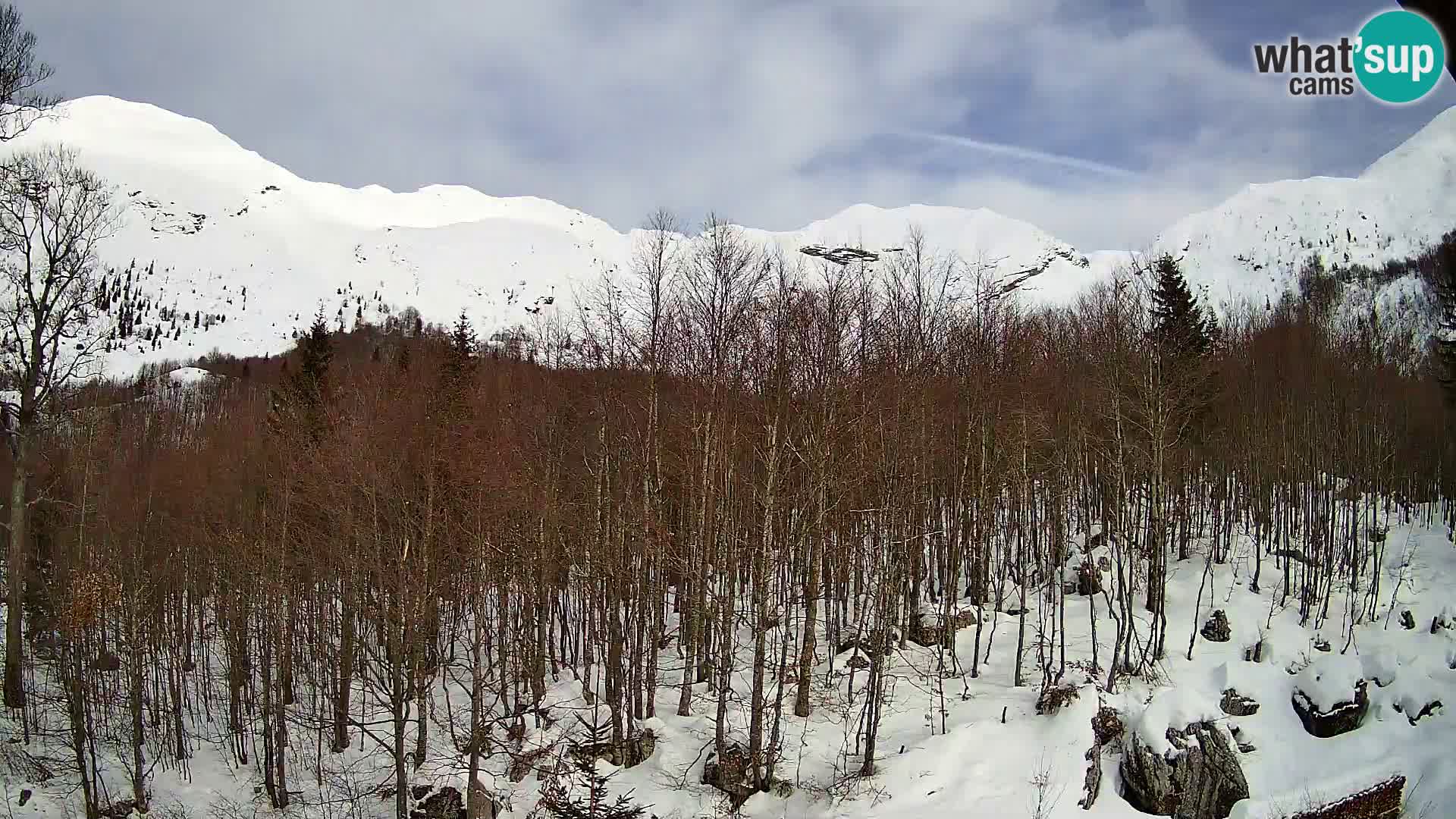 PLANINA RAZOR Live Cam (1315) | vista su Vogel e Globoko