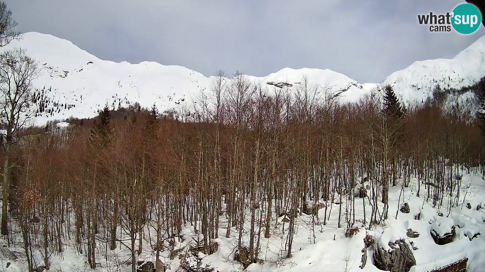 PLANINA RAZOR webcam (1315) | view to Vogel and Globoko