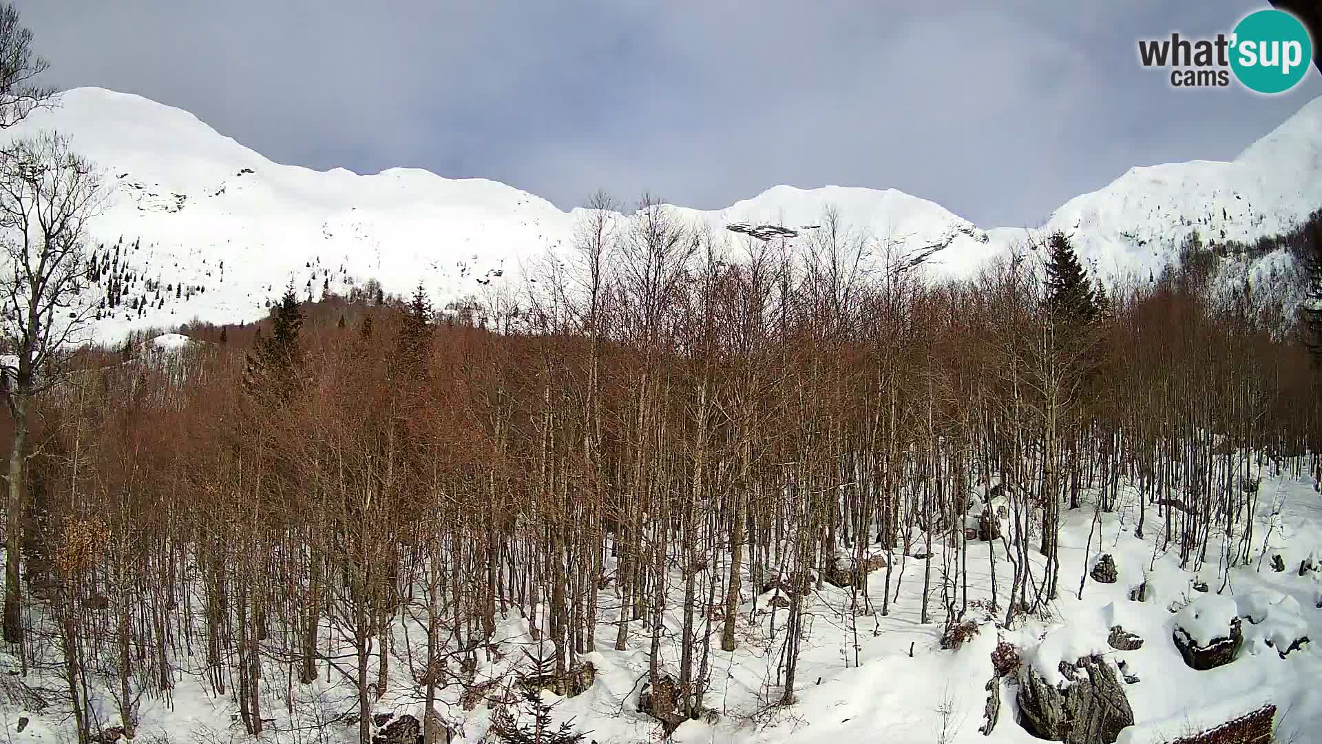 Webcam PLANINA RAZOR (1315) | Blick auf Vogel und Globoko